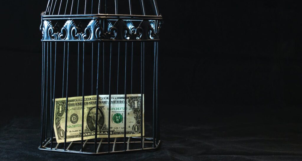 black steel pet cage with one dollar